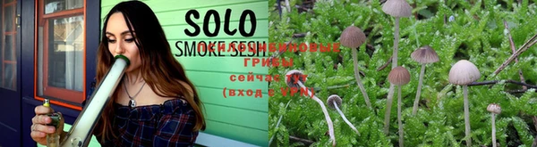 MESCALINE Алзамай