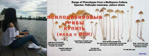 MESCALINE Алзамай