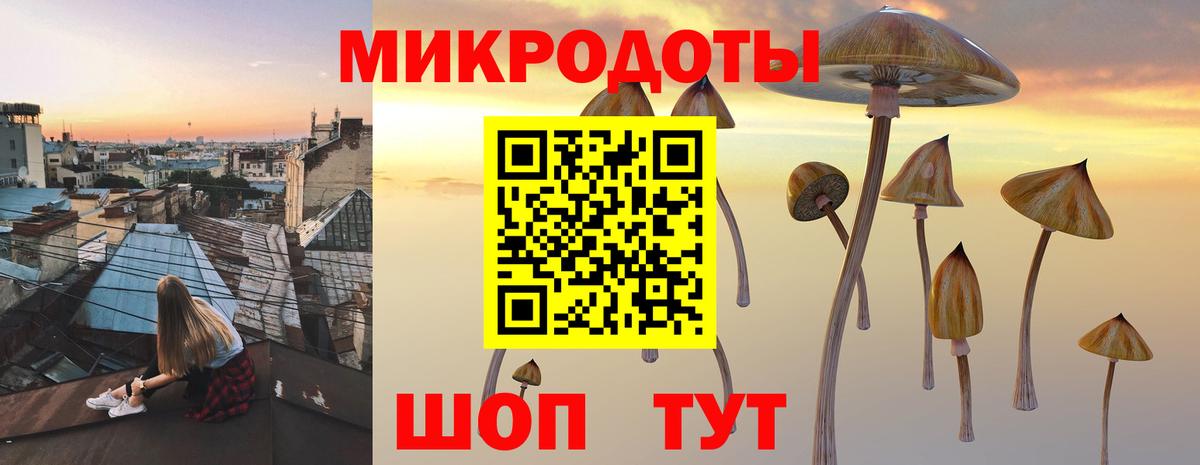 Галлюциногенные грибы мухоморы  Вход с VPN  Галлюциногенные грибы прущие грибы  Люберцы 